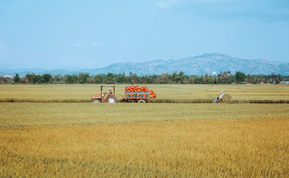Kho gạo của Phạm Quốc Việt